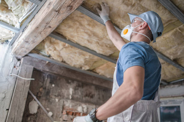 Best Insulation Installation Services in Oak Island, NC